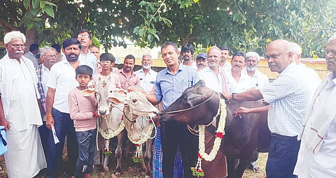 ಶ್ರೀರಂಗಪಟ್ಟಣ ತಾಲೂಕು ಪಶುಪಾಲನ ಮತ್ತು ಪಶು ವೈದ್ಯಕೀಯ ಇಲಾಖೆಯ ಸಹಾಯಕ ನಿರ್ದೇಶಕ ಪ್ರವೀಣ್ ಜಾನುವಾರುಗಳಿಗೆ ಲಸಿಕೆ ಹಾಕುವ ಮೂಲಕ 9ನೇ ಸುತ್ತಿನ ಕಾಲುಬಾಯಿ ರೋಗದ ಲಸಿಕಾ ಅಭಿಯಾನಕ್ಕೆ  ಚಾಲನೆ ನೀಡಿದರು. 