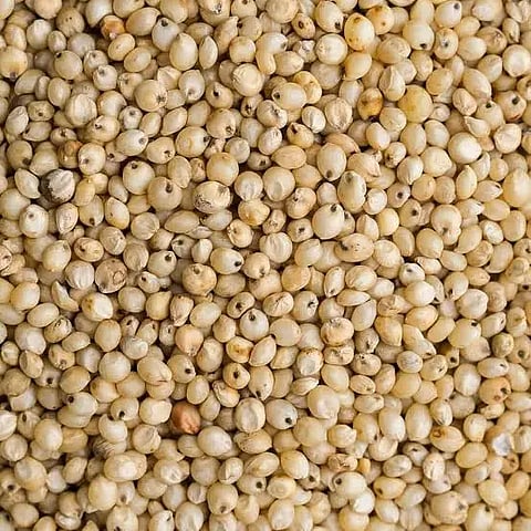 Haveri, Annabhagya, Ration, Jowar, Problem, 