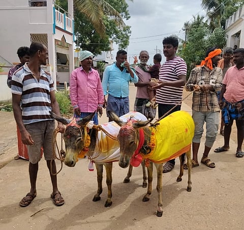 ಕತ್ತೆಗಳ ಮದುವೆ