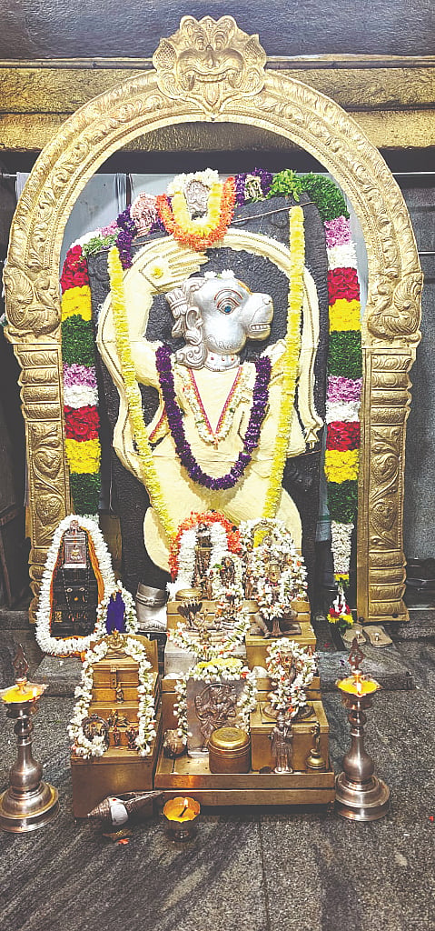 ರಥ ಸಪ್ತಮಿ ಅಂಗವಾಗಿ ಮದ್ದೂರು ನಗರದ ಪುರಾಣ ಪ್ರಸಿದ್ಧ ಶ್ರೀ ಹೊಳೆ ಆಂಜನೇಯಸ್ವಾಮಿಗೆ ವಿಶೇಷ ಅಲಂಕಾರ ಮಾಡಿರುವುದು.