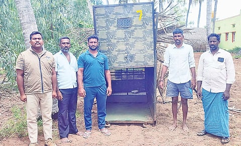 ಬಾಣಗಳ್ಳಿ ಗ್ರಾಮದಲ್ಲಿ ಚಿರತೆ ಸೆರೆಗಾಗಿ ಬೋನ್ ಇಟ್ಟಿರುವ ಅರಣ್ಯ ಇಲಾಖೆ.