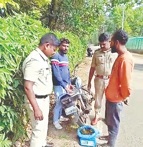 ಸೋಮವಾರಪೇಟೆ ಸಮೀಪದ ಕರ್ಕಳ್ಳಿ ಗ್ರಾಮದ ರಸ್ತೆಯಲ್ಲಿ ಗಾಂಜಾ ಸಹಿತ ಅರೋಪಿಗಳನ್ನು ಬಂಧಿಸಿರುವುದು.