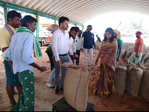 Information collection from officials and farmers