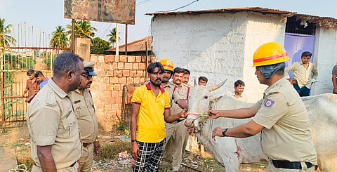 DRAINನರಗುಂದ ಪಟ್ಟಣದ ಚರಂಡಿಯಲ್ಲಿ ಬಿದ್ದಿದ್ದ ಗೋವುಗಳನ್ನು ಅಗ್ನಿಶಾಮಕ ದಳದ ಸಿಬ್ಬಂದಿ ಗುರುವಾರ ಸುರಕ್ಷಿತವಾಗಿ ರಕ್ಷಿಸಿ ಮಾಲೀಕರಿಗೆ ಹಸ್ತಾಂತರಿಸಿದರು.
