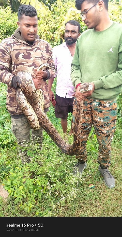 ಅರಣ್ಯ ಇಲಾಖೆಯ ಸಿಬ್ಬಂದಿ ಹೆಬ್ಬಾವನ್ನು ರಕ್ಷಣೆ ಮಾಡಿರುವುದು. 