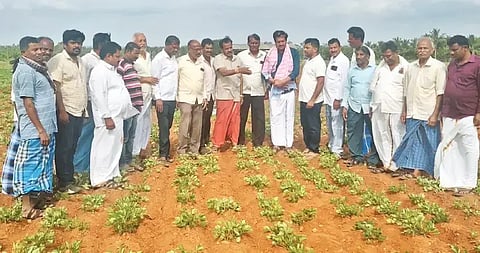 ಕಡೂರು ತಾಲೂಕಿನ ಯಳ್ಳಂಬಳಸೆ ಗ್ರಾಮದ ಸಮೀಪದ ಜಮೀನಿನಲ್ಲಿ ರೈತರೊಂದಿಗೆ ಮಾಜಿ ಶಾಸಕ ವೈಎಸ್‌ವಿ ದತ್ತ ಚರ್ಚಿಸಿದರು. ಡಿ.ಪ್ರಶಾಂತ್, ಸಿ.ಎಚ್.ಪ್ರೇಮ್ಕುಮಾರ್, ಈಶ್ವರಪ್ಪ, ಸುಪ್ರಿತ್ ಇತರರಿದ್ದರು.