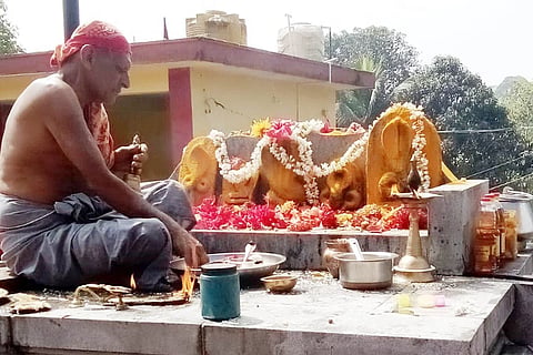 ನಾಪೋಕ್ಲು ಸಮೀಪದ ಪಾಲೂರು ಗ್ರಾಮದ ಶ್ರೀ ಮಹಾಲಿಂಗೇಶ್ವರ ದೇವಾಲಯದಲ್ಲಿ ಷಷ್ಠಿಯನ್ನು ಸಡಗರ ಸಂಭ್ರಮದಿಂದ ಆಚರಿಸಲಾಯಿತು.