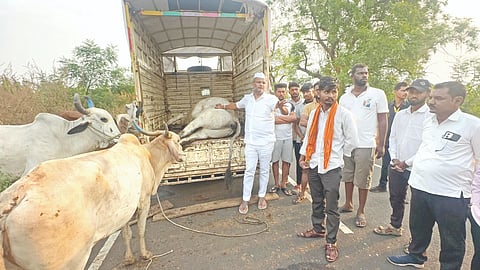  ಬಸವಕಲ್ಯಾಣ ತಾಲೂಕಿನ ಅಲಗೂಡ ಹತ್ತಿರ ಭಾನುವಾರ ಅಕ್ರಮವಾಗಿ ಸಾಗಿಸಲಾಗುತ್ತಿದ್ದ ಗೋವುಗಳನ್ನು ಶಾಸಕ ಶರಣು ಸಲಗರ ರಕ್ಷಣೆ ಮಾಡಿದರು.
