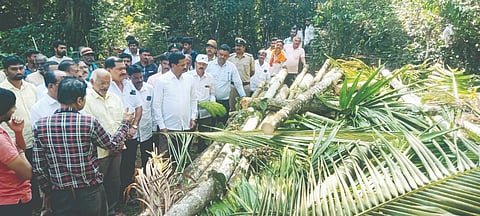 ಸಿದ್ದಾಪುರ ತಾಲೂಕಿನ ಗೋಳಿಕೈನಲ್ಲಿ ಅರಣ್ಯ ಇಲಾಖೆಯವರು ಅಡಕೆ ಮರ ಕಡಿದಿರುವುದನ್ನು ಶಾಸಕ ಭೀಮಣ್ಣ ನಾಯ್ಕ ಪರಿಶೀಲಿಸಿದರು. ಕೆ.ಜಿ. ನಾಗರಾಜ, ವಿ.ಎನ್. ನಾಯ್ಕ, ಎಸ್.ಕೆ. ಭಾಗ್ವತ್, ಉಮೇಶ ನಾಯ್ಕ ಇತರರಿದ್ದರು.