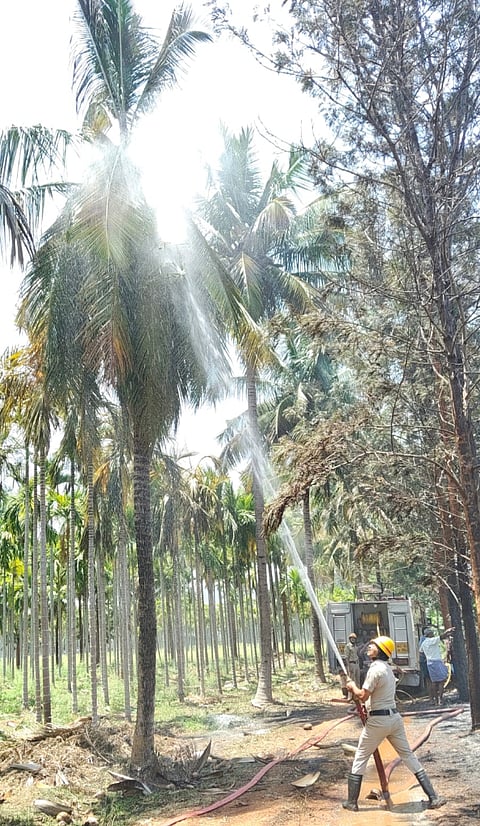 ಹನೂರು ತಾಲೂಕಿನ ಮೋಡಹಳ್ಳಿ ಗ್ರಾಮದ ಜಮೀನೊಂದರ ತೆಂಗಿನ ಮರದಲ್ಲಿ ಕಾಣಿಸಿಕೊಂಡಿದ್ದ ಬೆಂಕಿಯನ್ನು ಅಗ್ನಿಶಾಮಕ ಸಿಬ್ಬಂದಿ ನಂದಿಸಿದರು. 