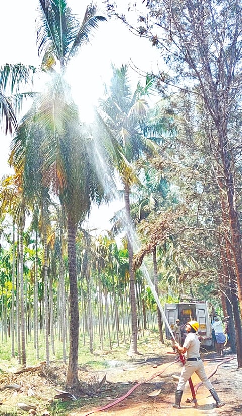 ಹನೂರು ತಾಲೂಕಿನ ಮೋಡಹಳ್ಳಿ ಗ್ರಾಮದ ಜಮೀನೊಂದರ ತೆಂಗಿನ ಮರದಲ್ಲಿ ಕಾಣಿಸಿಕೊಂಡಿದ್ದ ಬೆಂಕಿಯನ್ನು ಅಗ್ನಿಶಾಮಕ ಸಿಬ್ಬಂದಿ ನಂದಿಸಿದರು. 