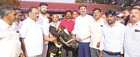 ಹನೂರಿನಲ್ಲಿ ಆಯೋಜಿಸಿದ್ದ ತಾಲೂಕು ಮಟ್ಟದ ಹಾಲು ಕರೆಯುವ ಸ್ಪರ್ಧೆಯಲ್ಲಿ ಪ್ರಥಮ ಸ್ಥಾನ ಪಡೆದ ಹಸುವಿನ ಮಾಲೀಕ ಪತ್ತಿನಾಥನ್ ಅವರಿಗೆ ಶಾಸಕ ಎಂ.ಆರ್ ಮಂಜುನಾಥ್ ಬಹುಮಾನ ವಿತರಿಸಿದರು. ನಂಜುಂಡಸ್ವಾಮಿ, ಉದ್ದನೂರು ಪ್ರಸಾದ್, ಶಾಹುಲ್ ಆಹಮದ್, ಡಾ. ಸಿದ್ದರಾಜು, ಇತರರಿದ್ದರು. 