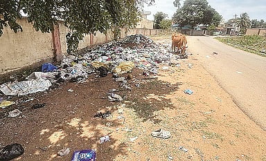   ಕೊಳ್ಳೇಗಾಲದ ಡಾ.ಶ್ರೀ ಶಿವಕುಮಾರ ಸ್ವಾಮೀಜಿ ಬಡಾವಣೆಯ ಮುಖ್ಯ ರಸ್ತೆ ಬದಿಯಲ್ಲಿ ಕಸದ ಸುರಿದಿರುವುದು.