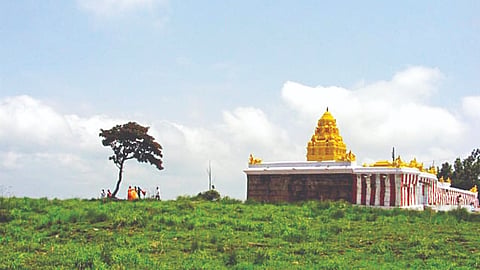 ಗುಂಡ್ಲುಪೇಟೆ ತಾಲೂಕಿನ ಹಿಮವದ್ ಗೋಪಾಲಸ್ವಾಮಿಬೆಟ್ಟದ ಹೊರನೋಟ.
