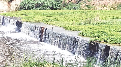 ಭಾರಿ ಮಳೆಗೆ ಸಿದ್ದಾಪುರ ಹೊರವಲಯದ ಹಳ್ಳ ತುಂಬಿರುವುದು.