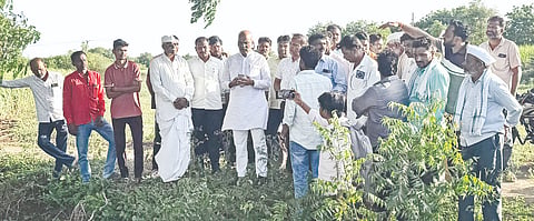  ಅಫಜಲಪುರ ತಾಲೂಕಿನ ಶಿರವಾಳ & ಗೌರ (ಬಿ) ಹತ್ತಿರ ಭೀಮಾ ಏತ ನೀರಾವರಿ ಕಾಲುವೆಗಳನ್ನು ಕೆಕೆಆರ್​ಟಿಸಿ ಅಧ್ಯ ಅರುಣಕುಮಾರ ಪಾಟೀಲ್​ ಪರಿಶೀಲಿಸಿದರು. 