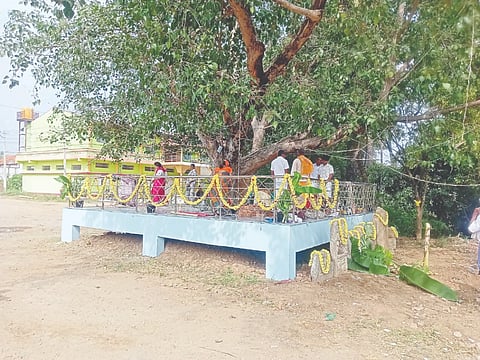 ಮದ್ದೂರು ತಾಲೂಕಿನ ನಗರಕೆರೆ ಗ್ರಾಮದಲ್ಲಿರುವ 100 ವರ್ಷಕ್ಕಿಂತ ಹಳೆಯದಾದ ಅರಳಿಮರಕ್ಕೆ ಸ್ಥಳೀಯ ಯುವಕರು ಕಟ್ಟೆ ನಿರ್ಮಾಣ ಮಾಡುವುದರ ಮೂಲಕ  ಮೂಲಕ ಪಾರಂಪಾರಿಕ ವೃಕ್ಷ ಸಂರಕ್ಷಣೆಯ ಮಹತ್ವವನ್ನು ಜಾಗೃತಿಗೊಳಿಸಿ ಗಮನ ಸೆಳೆದಿದ್ದಾರೆ.