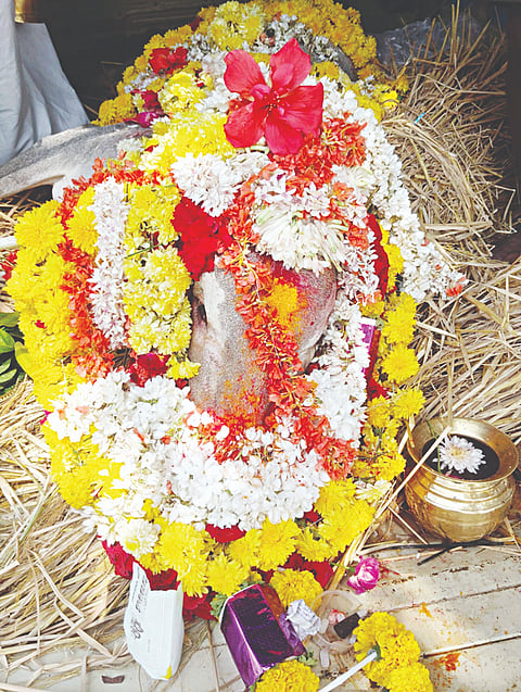 ಮದ್ದೂರು ತಾಲೂಕಿನ ಗೊಲ್ಲರದೊಡ್ಡಿ ಗ್ರಾಮದಲ್ಲಿದ್ದ ಮರಳಿಗಪ್ಪನ ಬಸವಪ್ಪ ಅನಾರೋಗ್ಯದಿಂದ ಮೃತಪಟ್ಟಿದೆ.