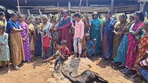 ಹನೂರು ತಾಲೂಕಿನ ಮಲೆ ಮಹದೇಶ್ವರ ಬೆಟ್ಟದ ನಾಗಮಲೆಯಲ್ಲಿ ಮೇಕೆ ಬೇಟೆಯಾಡಿದ್ದ ಚಿರತೆ ಜನರ ಮೇಲೆ ದಾಳಿ ಮಾಡಬಹುದೆಂದು ಭಯದಲ್ಲಿ ಗ್ರಾಮಸ್ಥರು ಗುಂಪುಗೂಡಿ ಆತಂಕ ವ್ಯಕ್ತಪಡಿಸಿದ್ದರು.