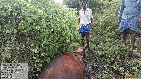 ಹಸುವನ್ನು ಕೊಂದುಹಾಕಿರುವುದು.