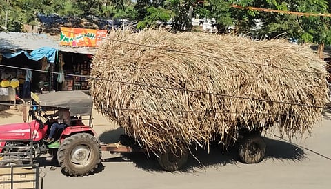 ಗುಂಡ್ಲುಪೇಟೆ ತಾಲೂಕಿಗೆ ನೆರೆರಾಜ್ಯಗಳಿಂದ ಹಸಿ ಮೇವುವನ್ನು ರೈತರು ಟ್ರ್ಯಾಕ್ಟರ್ ಮೂಲಕ ಸಾಗಾಣೆ ಮಾಡುತ್ತಿರುವುದು.