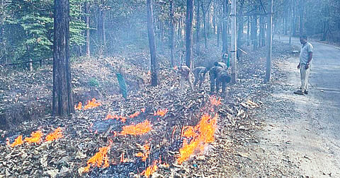 ಸೋಮವಾರಪೇಟೆ-ಕುಶಾಲನಗರ ರಸ್ತೆಯ ಅಂಚಿನಲ್ಲಿ ಬೆಂಕಿ ರೇಖೆ ಗುರುತಿಸಿ ಮುಂಜಾಗ್ರತಾ ಕ್ರಮಗಳನ್ನು ವಹಿಸಿರುವುದು. 