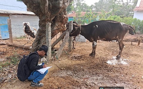  ಗುಂಡ್ಲುಪೇಟೆ ತಾಲೂಕಿನ ಹಂಗಳಾಪುರ ಗ್ರಾಮದಲ್ಲಿ ಕಾಲುಬಾಯಿ ಲಸಿಕೆ ಮಾಹಿತಿಯನ್ನು ನಮೂದು ಮಾಡುತ್ತಿರುವ ಸಿಬ್ಬಂದಿ