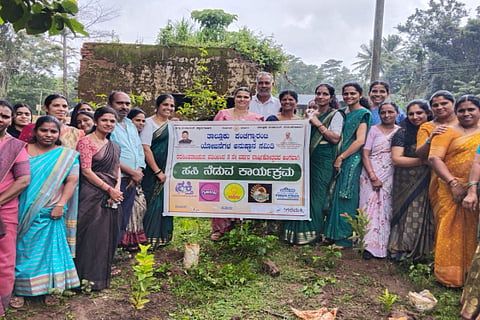 ಗ್ಯಾರಂಟಿ ಯೋಜನೆಯ ಮೂರನೇ ವರ್ಷದ ಸಂಭ್ರಮಾಚರಣೆ ಅಂಗವಾಗಿ ವಿವಿಧ ಗಿಡಗಳನ್ನು ನೆಡಲಾಯಿತು.  