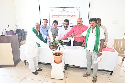 ಮತ್ತಿಕೊಪ್ಪದ ಕೃಷಿ ವಿಜ್ಞಾನ ಕೇಂದ್ರದಲ್ಲಿ ಬುಧವಾರ ಏರ್ಪಡಿಸಿದ್ದ ತರಬೇತಿ ಕಾರ್ಯಕ್ರಮವನ್ನು ರೈತರೊಂದಿಗೆ ಸೇರಿ ಡಾ.ಡಿ.ಎಚ್.ಮಿತ್ರಣ್ಣವರ, ಡಾ.ಮಂಜುನಾಥ ಚೌರಡ್ಡಿ, ಎಸ್.ಎಂ.ವಾರದ, ಡಾ.ಬಸವರಾಜ ಕುಲಕರ್ಣಿ, ಡಾ.ಎಸ್.ಎಸ್.ಹಿರೇಮಠ ಇತರರು ಉದ್ಘಾಟಿಸಿದರು.