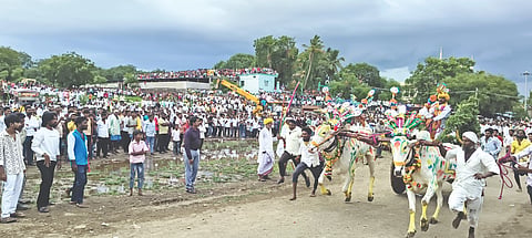  ಆಲಮೇಲ ಪಟ್ಟಣದ ಹಜರತ್ ಪೀರ್ ಗಾಲೀಬ ಶಹೀದ್ ದರ್ಗಾದ ಆವರಣದಲ್ಲಿ ಕಾರಹುಣ್ಣಿಮೆಯ ನಿಮಿತ್ತ ದೇಶಮುಖ ಹಾಗೂ ದೇಶಪಾಂಡೆ ಅವರ ಲಕ್ಷ್ಮೀ ಬಂಡಿಗಳು ಓಟದ ಸ್ಪರ್ಧೆಯಲ್ಲಿ ಪಾಲ್ಗೊಂಡಿದ್ದವು.