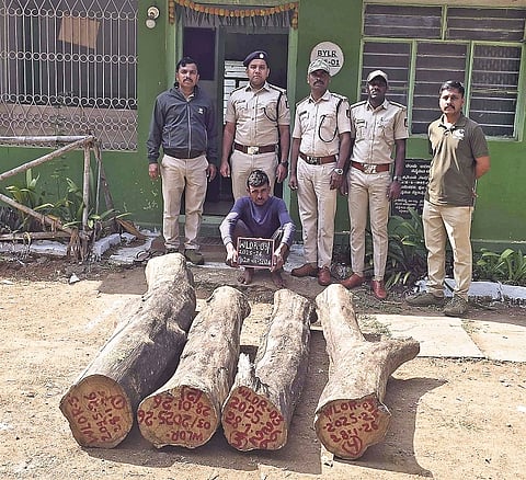 ಬೈಲೂರು ವನ್ಯಜೀವಿ ವಲಯದ ಅರಣ್ಯ ಪ್ರದೇಶದಲ್ಲಿ ತೇಗದ ಮರಗಳನ್ನು ಕಡಿದು ಸಾಗಿಸುತ್ತಿದ್ದವನನ್ನು ಅರಣ್ಯ ಇಲಾಖೆ ಅಧಿಕಾರಿಗಳು ಬಂಧಿಸಿರುವುದು.