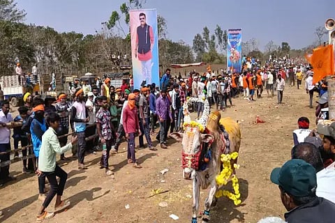 ರಿಪ್ಪನ್‌ಪೇಟೆ ಸಮೀಪದ ಮಾದಾಪುರದಲ್ಲಿ ಆಯೋಜಿಸಿದ್ದ ಹೋರಿ ಬೆದರಿಸುವ ಅಖಾಡದಲ್ಲಿ ಮುನ್ನುಗ್ಗುತ್ತಿರುವ ಎತ್ತು.