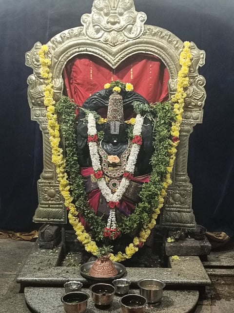 ಶ್ರೀ ಕದಲೀ ಲಕ್ಷ್ಮೀ ವೆಂಕಟೇಶ್ವರ ಸ್ವಾಮಿಗೆ ವಿಶೇಷವಾಗಿ ಅಲಂಕಾರ ಮಾಡಿರುವುದು.