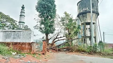 ಮೂಡಿಗೆರೆ ಪಟ್ಟಣ ಈದ್ಗಾ ಮೈದಾನದ ಕಾಂಪೌಂಡ್ ಬಳಿ ಇದ್ದ ಮರ ರಸ್ತೆಗೆ ಬಿದ್ದಿದ್ದು ವಿದ್ಯುತ್ ಕಂಬ ತುಂಡಾಗಿ ಧರೆಗುರುಳಿದೆ.