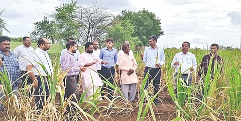 ದೇವರಹಿಪ್ಪರಗಿ ಪಟ್ಟಣದ ಆವುಗೇಶ್ವರ ತಪೋಧಾಮ ಪರದೇಶಿಮಠದ ಹೊಲಕ್ಕೆ ಜಿಲ್ಲಾಧಿಕಾರಿ ಡಾ. ಆನಂದ ಕೆ. ಅಧಿಕಾರಿಗಳೊಂದಿಗೆ ಭೇಟಿ ನೀಡಿ ಪರಿಶೀಲನೆ ನಡೆಸಿದರು. ಕೃಷಿ ಇಲಾಖೆಯ ಜಂಟಿ ನಿರ್ದೇಶಕ ಶಿವನಗೌಡ ಪಾಟೀಲ, ಡಿಡಿಎ ಚಂದ್ರಕಾಂತ ಪವಾರ, ಎಡಿಎ ಪ್ರಶಾಂತ ಸಾಣಿ, ತಹಸೀಲ್ದಾರ್ ನಿಂಗಣ್ಣ ಬಿರಾದಾರ ಮತ್ತಿತರರಿದ್ದರು.