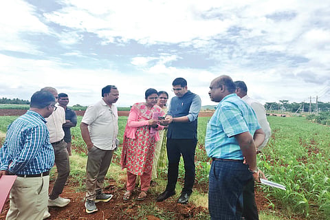 ಕಡೂರಿನ ಹಳ್ಳಿಕೆರೆ ಕಾವಲು ಸಮೀಪದ ಜಮೀನಿನಲ್ಲಿ ಡಿಸಿ ಬೆಳೆ ಸಮೀಕ್ಷೆ ನಡೆಸಿದರು. ತಿರುಮಲೇಶ್, ಮಂಗಳ ಹಾಗೂ ರೈತರು ಇದ್ದರು.
