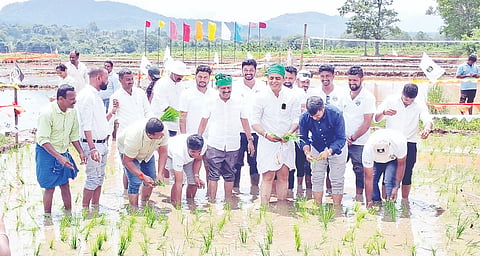 ಯಂಗ್ ಇಂಡಿಯನ್ ಫಾರ್ಮರ್ಸ್ ಅಸೋಸಿಯೇಷನ್ (ಯಿಫಾ) ವತಿಯಿಂದ ಹೆಬ್ಬಾಲೆ ಗ್ರಾಮದ ಆದರ್ಶ ಅವರ ಗದ್ದೆಯಲ್ಲಿ 8ನೇ ವರ್ಷದ ಗದ್ದೆ ನಾಟಿ ಕಾರ್ಯಕ್ರಮ ಹಾಗೂ ಕೆಸರುಗದ್ದೆ ಕ್ರೀಡಾಕೂಟವನ್ನು ಬೆಂಗಳೂರು ಮಲ್ಲೇಶ್ವರಂ ಶಾಸಕ ಡಾ. ಅಶ್ವತ್ಥ್ ನಾರಾಯಣ್ ಉದ್ಘಾಟಿಸಿದರು.  ಡಾ. ಮಂತರ್ ಗೌಡ, ಎಂ.ಪಿ. ಅಪ್ಪಚ್ಚುರಂಜನ್, ಅರುಣ್ ಕೊತ್ನಳ್ಳಿ, ಶ್ರೀನಿಧಿ ಲಿಂಗಪ್ಪ ಮತ್ತಿತರರು ಇದ್ದರು.  