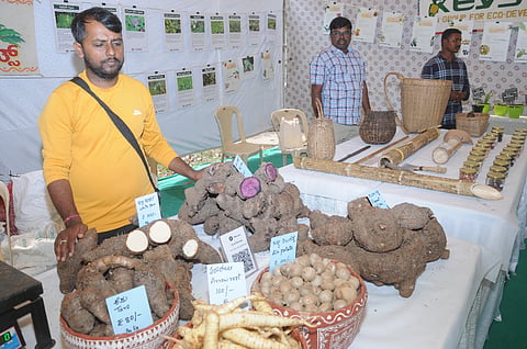 ಕಿಸಾನ್ ಸ್ವರಾಜ್ ಸಮ್ಮೇಳನ