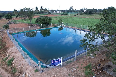 ಬೇಸಿಗೆಗೆ ವರದಾನವಾದ ಕೃಷಿ ಹೊಂಡ