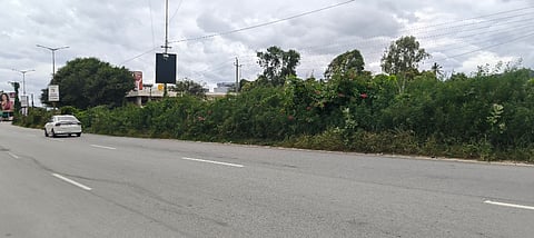 ಬಿಡದಿಯ ಬೆಂಗಳೂರು&ಮೈಸೂರು ರಾಷ್ಟ್ರೀಯ ಹೆದ್ದಾರಿಯ ಡಿವೈಡರ್​ ಮದ್ಯೆ ಬೆಳೆದು ನಿಂತಿರುವ ಗಿಡ ಗಂಟಿಗಳು. 