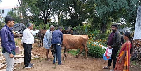 ಚಾಮರಾಜನಗರ ತಾಲೂಕಿನ ಕಾಗಲವಾಡಿ ಗ್ರಾಮದಲ್ಲಿ ಹಸುಗಳಿಗೆ ಕಾಲುಬಾಯಿ ಲಸಿಕೆ ನೀಡುತ್ತಿರುವುದು. ಈ ವೇಳೆ ಡಾ.ಮಂಜುನಾಥ್ ಹಾಗೂ ಸಿಬ್ಬಂದಿಗಳು ಹಾಜರಿದ್ದರು. 