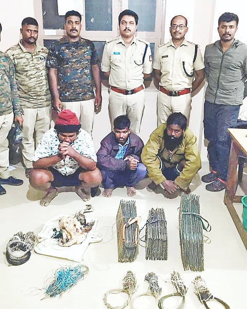 ತಾಲೂಕಿನ ಜೆ.ಸೂರಾಪುರ ಸಮೀಪ ನವಿಲನ್ನು ಕೊಂದು ಸಾಗಿಸುತ್ತಿದ್ದ ಆರೋಪಿಗಳನ್ನು ವಲಯ ಅರಣ್ಯಾಧಿಕಾರಿಗಳ ತಂಡ ಬಂಧಿಸಿರುವುದು.