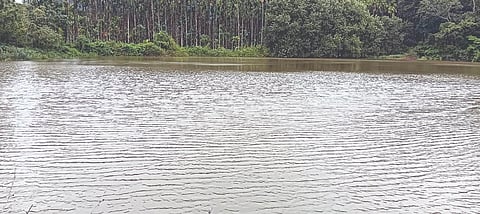 ಮಳೆಗೆ ಶನಿವಾರಸಂತೆ ವ್ಯಾಪ್ತಿಯ ಮುಳ್ಳೂರು ಬಳಿಯ ಇಂಟಿನಾಯಕನ ಕೆರೆ ಭರ್ತಿಯಾಗಿರುವುದು.  ಎಸ್‌ಎಸ್2 ಬತ್ತಿ ಹೋಗಿದ್ದ  ಕೊಡ್ಲಿಪೇಟೆ ವ್ಯಾಪ್ತಿಯ ಕ್ಯಾತಿ ಹೊಳೆ ತುಂಬಿ ಹರಿಯುತ್ತಿರುವುದು.