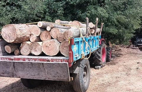 ಯಲವನಾಥ್​ ಎನ್​.ಎ. ಬ್ಲಾಕ್​ ಅರಣ್ಯ ಪ್ರದೇಶದಲ್ಲಿ ಅಕ್ರಮವಾಗಿ ಮರಕಡಿದು ಸಾಗಿಸುತ್ತಿದ್ದ ಟ್ರ್ಯಾಕ್ಟರ್ ನ್ನು ವಶಕ್ಕೆ ಪಡೆದಿರುವುದು.