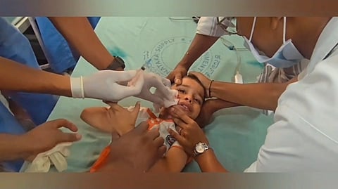 Haveri, Street Dogs, Byte, Hospitalised,