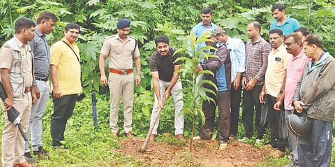ಪತ್ರಿಕಾ ದಿನಾಚರಣೆ ಅಂಗವಾಗಿ ತೀರ್ಥಹಳ್ಳಿಯಲ್ಲಿ ಎಸಿಎ್​ ಮಧುಸೂದನ್​ ಗಿಡ ನೆಟ್ಟರು. ಆದರ್ಶ್​, ವಿನಯ್​, ರಾವೇಂದ್ರ ಮೇಗರವಳ್ಳಿ, ರಾಮಚಂದ್ರ, ಸಂತೋಷ್​ ಇತರರಿದ್ದರು.