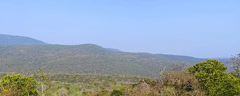  ಚಾಮರಾಜನಗರ ಜಿಲ್ಲೆಯ ಅರಣ್ಯ ಪ್ರದೇಶ