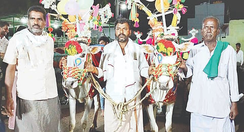 ಸಿರಿಗೇರಿಯಲ್ಲಿ ನಡೆದ ಕರಿ ಹರಿಯುವ ಸ್ಪರ್ಧೆಯಲ್ಲಿ ನೆನೆಕ್ಕಿ ಮೌಲಾಲಿ ಹಾಗೂ ದೊಡ್ಡಬಸಪ್ಪ ಅವರ ಎತ್ತುಗಳು ಪ್ರಥಮ ಸ್ಥಾನ ಪಡೆದವು.