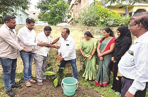 ಹಸಿರು ಭೂಮಿ ಪ್ರತಿಷ್ಠಾನದಿಂದ ಬೇಲುರಿನ ಉದ್ಯಾನವಲ್ಲಿ ಗಣ್ಯರು ಗಿಡ ನೆಟ್ಟರು. ತೀರ್ಥಕುಮಾರಿ ವೆಂಕಟೇಶ್, ಅಕ್ರಂ ಷರೀಫ್, ಬಿ.ಎಂ.ಸಂತೋಷ್, ಉಷಾ ಸತೀಶ್, ಜಮೀಲಾ ತೌಫಿಕ್,  ಬಸವರಾಜ್ ಸಿಗ್ಗಾವಿ, ಲೋಹಿತ್, ತೀರ್ಥಂಕರ್ ಇದ್ದರು.
