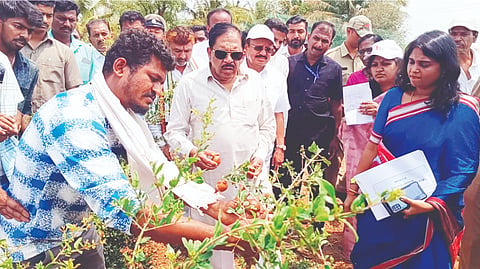 Appropriate compensation after crop damage report